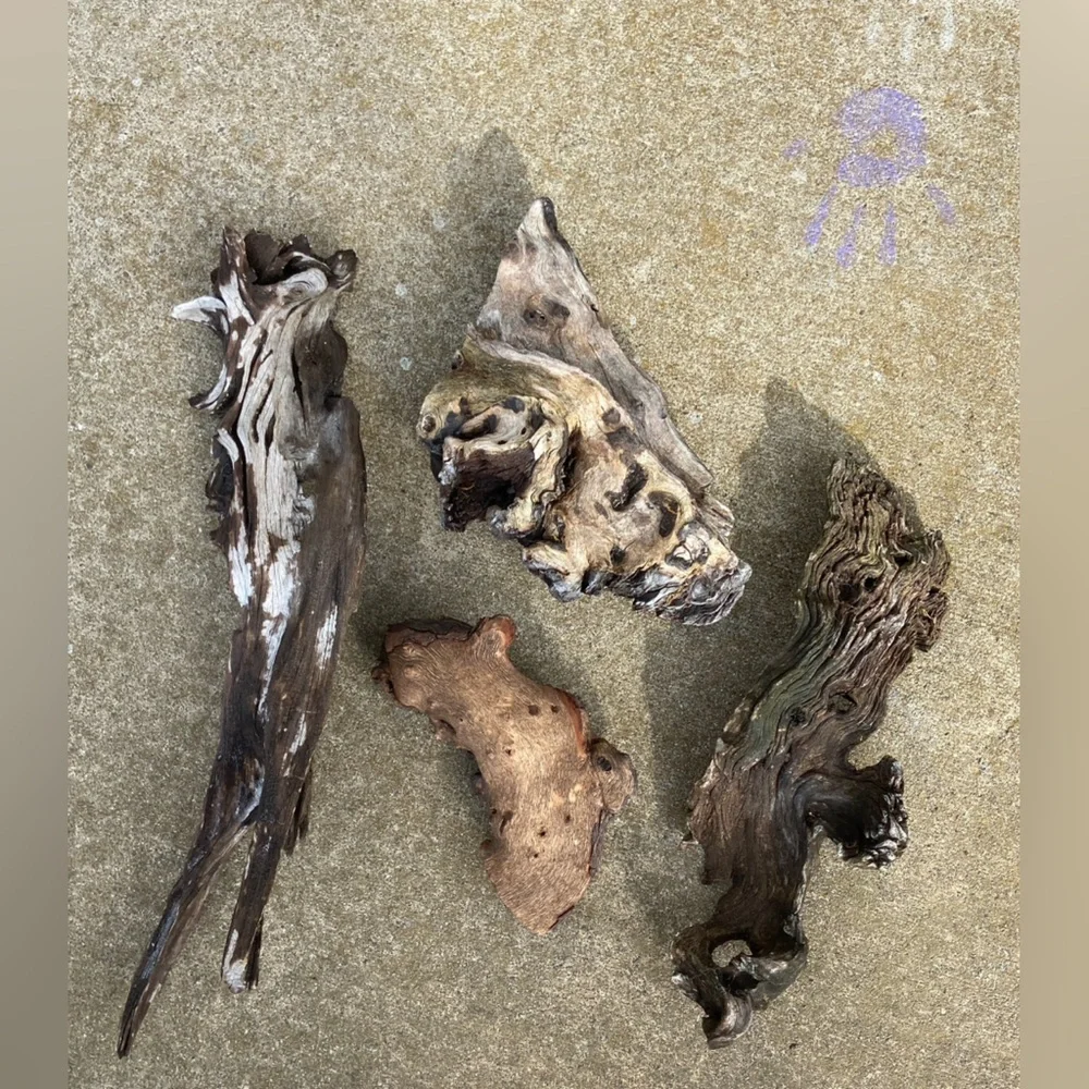 Natural Wood Decorum(4 Pieces)-Crafting, Outdoors, Live Pets, Aquarium/Terrarium